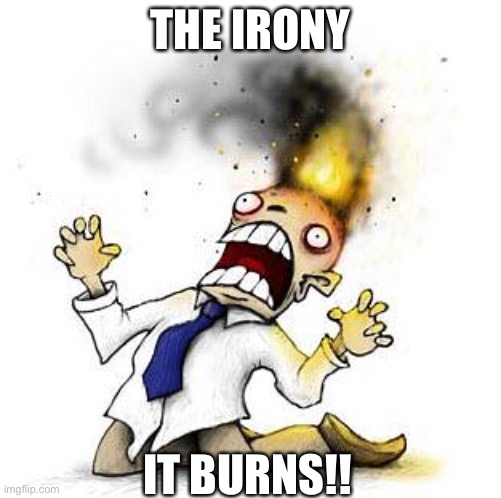 The Irony It Burns!!! | THE IRONY IT BURNS!! | image tagged in the irony it burns | made w/ Imgflip meme maker