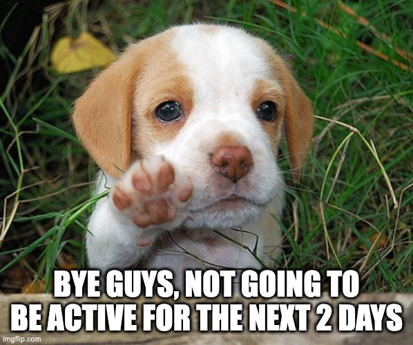 ... | BYE GUYS, NOT GOING TO BE ACTIVE FOR THE NEXT 2 DAYS | image tagged in dog puppy bye | made w/ Imgflip meme maker