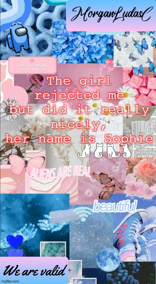 im sad but also not sad | The girl rejected me but did it really nicely, her name is Sophie | image tagged in morganludasc announcement template | made w/ Imgflip meme maker