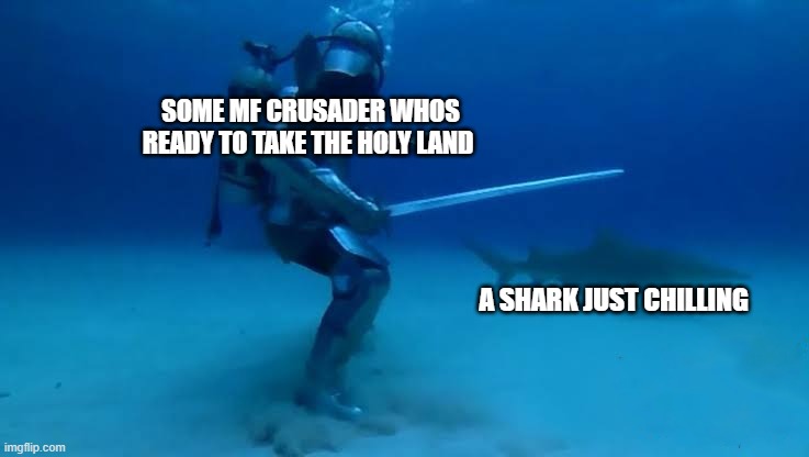 The Crusade Knows no bounds | SOME MF CRUSADER WHOS READY TO TAKE THE HOLY LAND; A SHARK JUST CHILLING | image tagged in the crusade knows no bounds | made w/ Imgflip meme maker