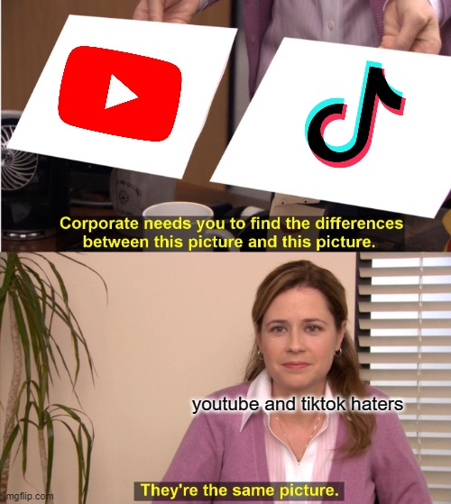 Tiktok and youtube haters | youtube and tiktok haters | image tagged in memes,they're the same picture | made w/ Imgflip meme maker