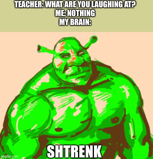 Stronk | TEACHER: WHAT ARE YOU LAUGHING AT?
ME: NOTHING
MY BRAIN:; SHTRENK | image tagged in stronks | made w/ Imgflip meme maker