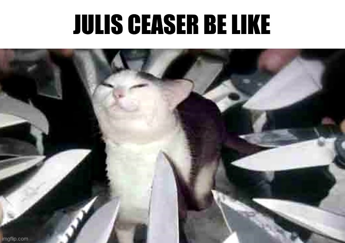 Cat with knifes pointing at it | JULIS CEASER BE LIKE | image tagged in cat with knifes pointing at it | made w/ Imgflip meme maker