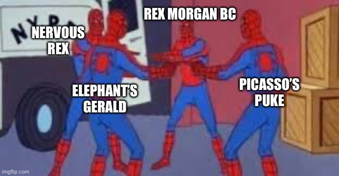 Fried PuppybDog explained | REX MORGAN BC; NERVOUS REX; PICASSO’S PUKE; ELEPHANT’S GERALD | image tagged in 4 spider-man pointing | made w/ Imgflip meme maker