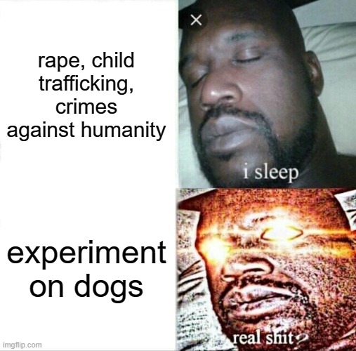 Sleeping Shaq | rape, child trafficking, crimes against humanity; experiment on dogs | image tagged in memes,sleeping shaq | made w/ Imgflip meme maker