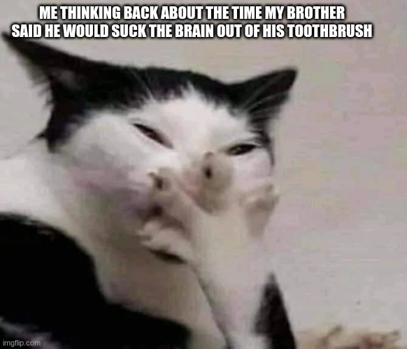 we got in trouble because we were supposed to be sleep | ME THINKING BACK ABOUT THE TIME MY BROTHER SAID HE WOULD SUCK THE BRAIN OUT OF HIS TOOTHBRUSH | image tagged in sleep,toothbrush,big brother | made w/ Imgflip meme maker