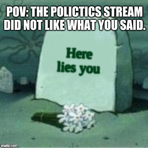 Here Lies X | POV: THE POLICTICS STREAM DID NOT LIKE WHAT YOU SAID. Here lies you | image tagged in here lies x | made w/ Imgflip meme maker
