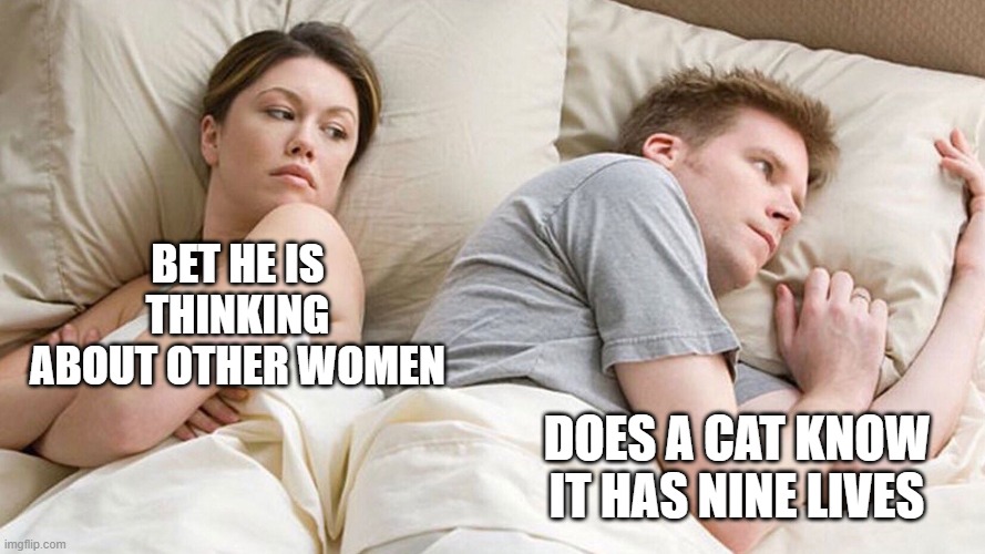 couple in bed | BET HE IS THINKING ABOUT OTHER WOMEN; DOES A CAT KNOW IT HAS NINE LIVES | image tagged in couple in bed | made w/ Imgflip meme maker