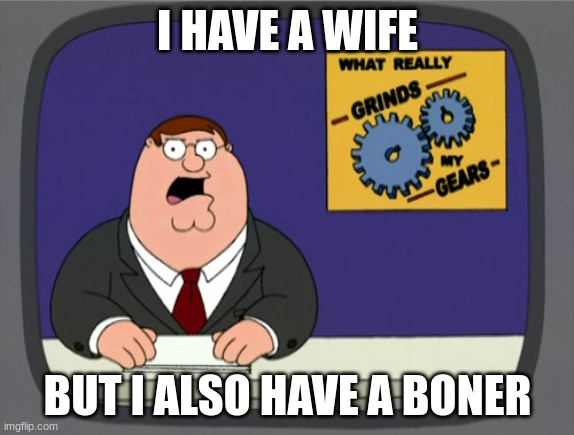Peter Griffin News Meme | I HAVE A WIFE; BUT I ALSO HAVE A BONER | image tagged in memes,peter griffin news | made w/ Imgflip meme maker