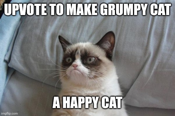 I don't it will happen | UPVOTE TO MAKE GRUMPY CAT; A HAPPY CAT | image tagged in memes,grumpy cat bed,grumpy cat | made w/ Imgflip meme maker