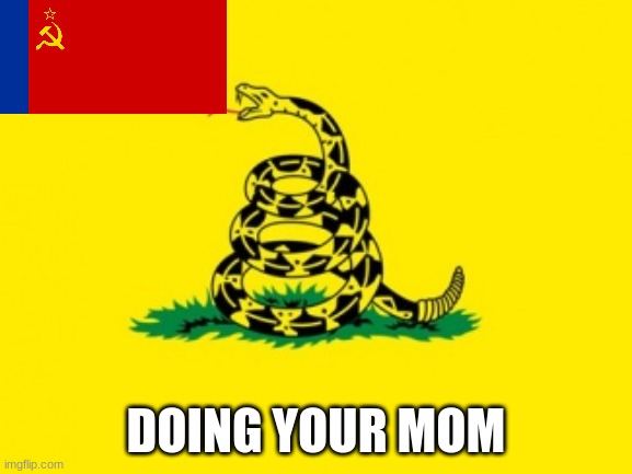 yes | DOING YOUR MOM | image tagged in gadsden flag,yes | made w/ Imgflip meme maker