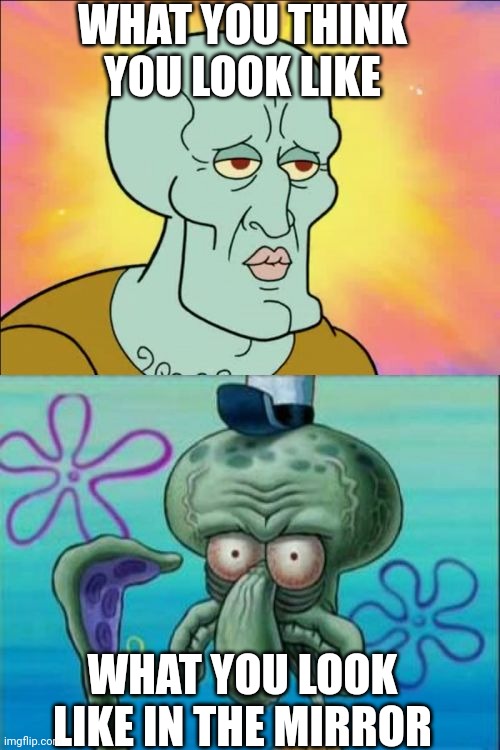 Squidward | WHAT YOU THINK YOU LOOK LIKE; WHAT YOU LOOK LIKE IN THE MIRROR | image tagged in memes,squidward | made w/ Imgflip meme maker