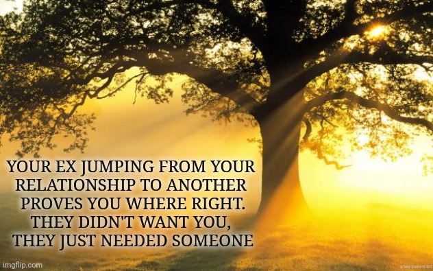 Moving on | YOUR EX JUMPING FROM YOUR 
RELATIONSHIP TO ANOTHER 
PROVES YOU WHERE RIGHT.
THEY DIDN'T WANT YOU, 
THEY JUST NEEDED SOMEONE | image tagged in relationships,inspirational quote | made w/ Imgflip meme maker