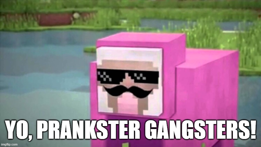 when you are trolled by pink sheep | YO, PRANKSTER GANGSTERS! | image tagged in when you are trolled by pink sheep | made w/ Imgflip meme maker