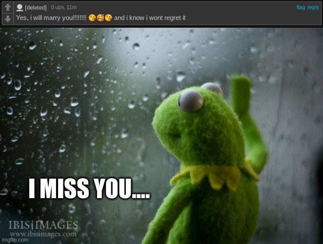 ;-;  T-T | I MISS YOU.... | image tagged in kermit window | made w/ Imgflip meme maker