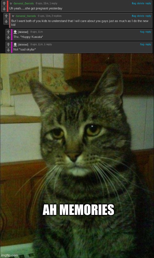 AH MEMORIES | image tagged in memes,depressed cat | made w/ Imgflip meme maker