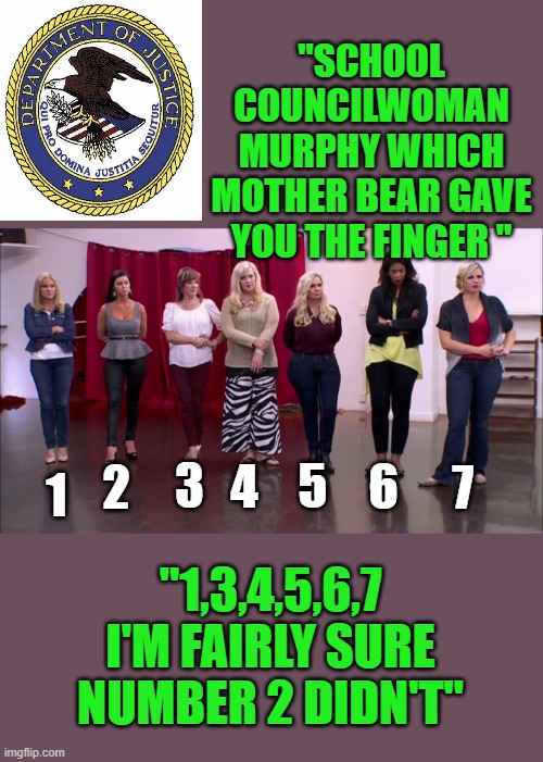 yep | "SCHOOL COUNCILWOMAN MURPHY WHICH MOTHER BEAR GAVE YOU THE FINGER "; 2; 7; 5; 4; 6; 3; 1; "1,3,4,5,6,7 I'M FAIRLY SURE NUMBER 2 DIDN'T" | image tagged in democrats,doj | made w/ Imgflip meme maker