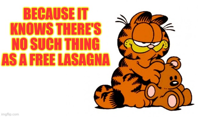 garfield | BECAUSE IT KNOWS THERE'S NO SUCH THING AS A FREE LASAGNA | image tagged in garfield | made w/ Imgflip meme maker