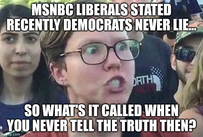 Truth vs belief......the Achilles Heel of the Modern Democrat | MSNBC LIBERALS STATED RECENTLY DEMOCRATS NEVER LIE... SO WHAT'S IT CALLED WHEN YOU NEVER TELL THE TRUTH THEN? | image tagged in triggered liberal,lies,biased media,brainwashed | made w/ Imgflip meme maker