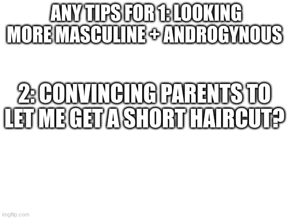 Blank White Template | ANY TIPS FOR 1: LOOKING MORE MASCULINE + ANDROGYNOUS; 2: CONVINCING PARENTS TO LET ME GET A SHORT HAIRCUT? | image tagged in blank white template | made w/ Imgflip meme maker