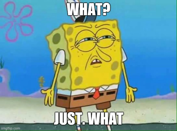 confused spongebob | WHAT? JUST. WHAT | image tagged in confused spongebob | made w/ Imgflip meme maker