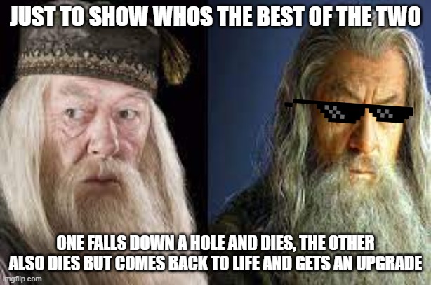 LOTR is Better |  JUST TO SHOW WHOS THE BEST OF THE TWO; ONE FALLS DOWN A HOLE AND DIES, THE OTHER ALSO DIES BUT COMES BACK TO LIFE AND GETS AN UPGRADE | image tagged in gandalf,dumbledore,lotr,harry potter | made w/ Imgflip meme maker