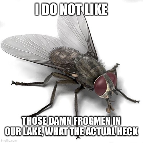 Insectists | I DO NOT LIKE; THOSE DAMN FROGMEN IN OUR LAKE, WHAT THE ACTUAL HECK | image tagged in insectist | made w/ Imgflip meme maker