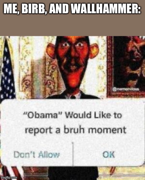 obama would like to report a bruh moment | ME, BIRB, AND WALLHAMMER: | image tagged in obama would like to report a bruh moment | made w/ Imgflip meme maker