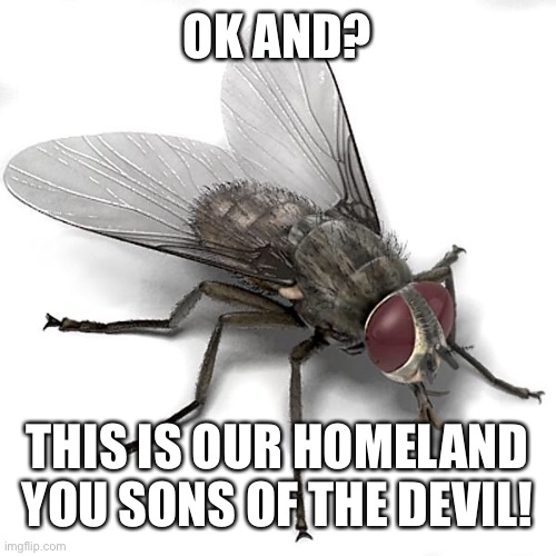 I don't like where this is going.. | OK AND? THIS IS OUR HOMELAND YOU SONS OF THE DEVIL! | image tagged in insectists | made w/ Imgflip meme maker