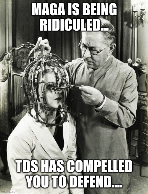 TDS | MAGA IS BEING RIDICULED... TDS HAS COMPELLED YOU TO DEFEND.... | image tagged in tds | made w/ Imgflip meme maker
