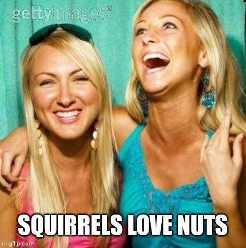 Laughing Girls 2 | SQUIRRELS LOVE NUTS | image tagged in laughing girls 2 | made w/ Imgflip meme maker