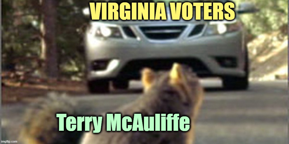 VIRGINIA VOTERS Terry McAuliffe | made w/ Imgflip meme maker