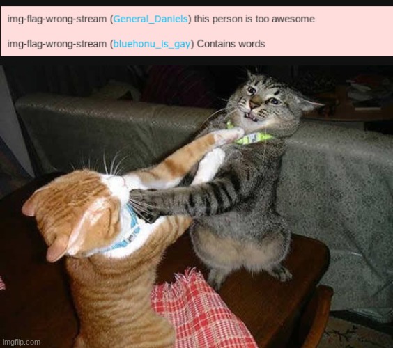 image tagged in two cats fighting for real | made w/ Imgflip meme maker