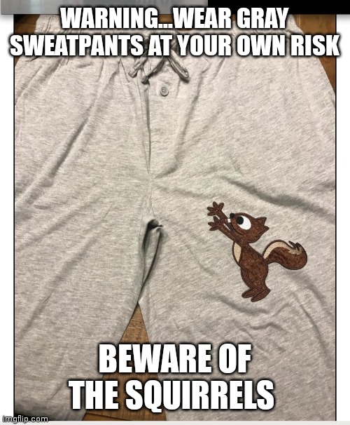 Nuts about their nuts | WARNING...WEAR GRAY SWEATPANTS AT YOUR OWN RISK; BEWARE OF THE SQUIRRELS | image tagged in squirrel | made w/ Imgflip meme maker