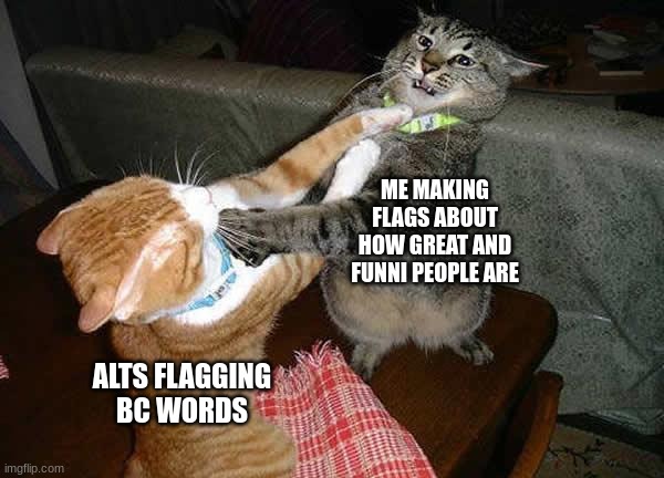 i bet this will get flagged. if it does yall gotta give me 5 pages of upvotes | ME MAKING FLAGS ABOUT HOW GREAT AND FUNNI PEOPLE ARE; ALTS FLAGGING BC WORDS | image tagged in two cats fighting for real | made w/ Imgflip meme maker