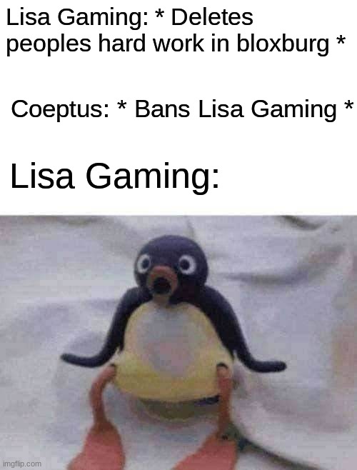 h | Lisa Gaming: * Deletes peoples hard work in bloxburg *; Coeptus: * Bans Lisa Gaming *; Lisa Gaming: | image tagged in surprised pingu | made w/ Imgflip meme maker