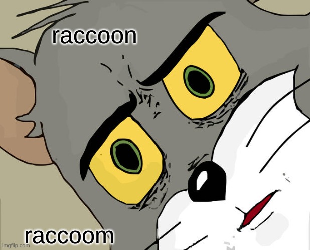 rat | raccoon; raccoom | image tagged in memes,unsettled tom | made w/ Imgflip meme maker