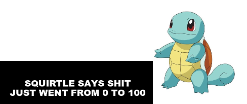 0 to 100 squirtle meme Blank Meme Template