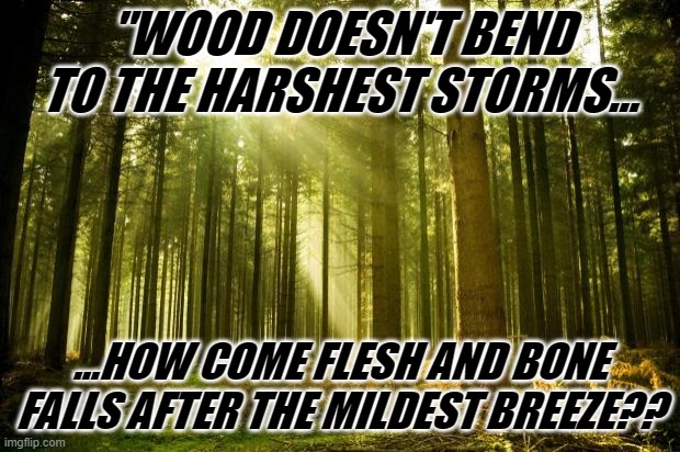 I'm talking about y'all who instantly get triggered over the tiniest bit of hate | "WOOD DOESN'T BEND TO THE HARSHEST STORMS... ...HOW COME FLESH AND BONE FALLS AFTER THE MILDEST BREEZE?? | image tagged in sunlit forest,memes,quotes,tree,inspirational quote | made w/ Imgflip meme maker