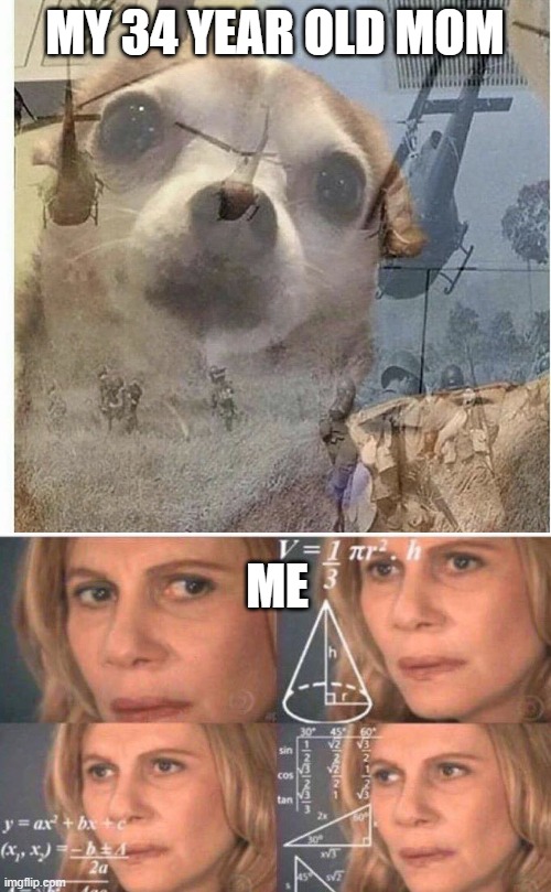 MY 34 YEAR OLD MOM ME | image tagged in ptsd chihuahua,math lady/confused lady | made w/ Imgflip meme maker