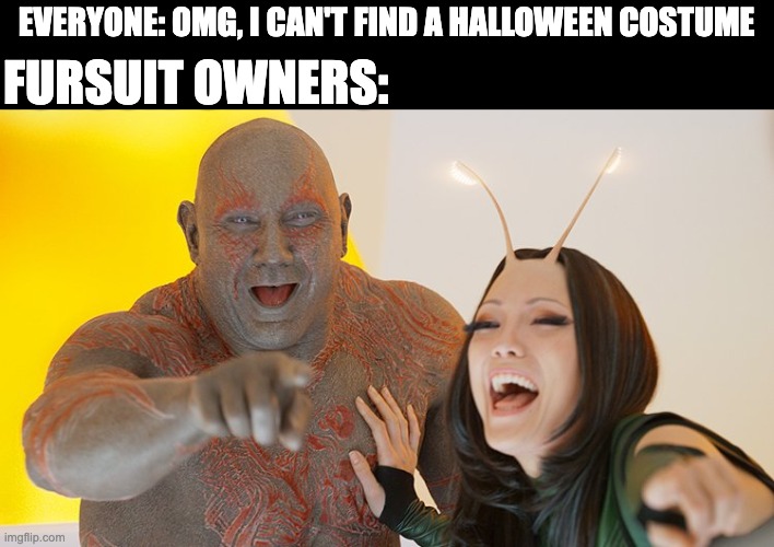 Furry meme, here, this is my first post in this stream | FURSUIT OWNERS:; EVERYONE: OMG, I CAN'T FIND A HALLOWEEN COSTUME | image tagged in drax mantis laughing | made w/ Imgflip meme maker