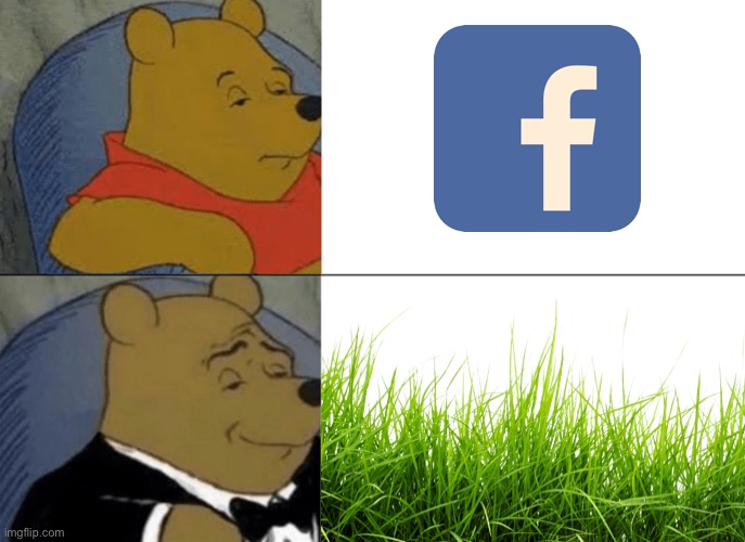 Touch grass | image tagged in memes,tuxedo winnie the pooh,facebook,dissapointed | made w/ Imgflip meme maker
