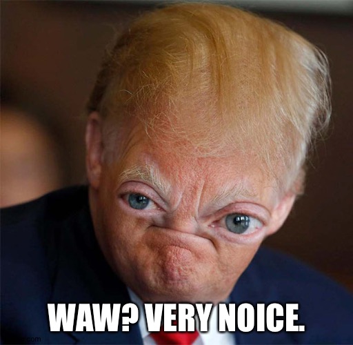 Waw noice very noice | WAW? VERY NOICE. | image tagged in waw noice very noice | made w/ Imgflip meme maker