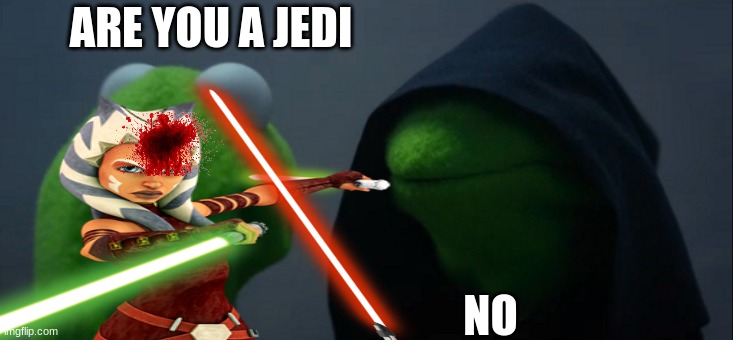 funny | ARE YOU A JEDI; NO | image tagged in star wars | made w/ Imgflip meme maker