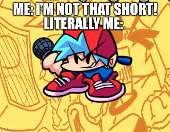 lol | ME: I'M NOT THAT SHORT! LITERALLY ME: | image tagged in bruhfriend | made w/ Imgflip meme maker