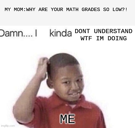 Its true. quit blaming me. blame the teacher who doesn't know how to teach! | MY MOM:WHY ARE YOUR MATH GRADES SO LOW?! DONT UNDERSTAND WTF IM DOING; ME | image tagged in damn i kinda don t meme | made w/ Imgflip meme maker