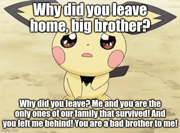 Ash's Pikachu's little brother being upset. | Why did you leave home, big brother? Why did you leave? Me and you are the only ones of our family that survived! And you left me behind! You are a bad brother to me! | image tagged in sad pichu | made w/ Imgflip meme maker