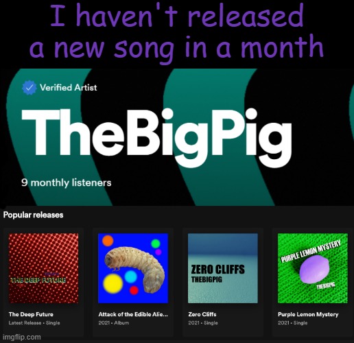 I have songs that I could release, but I just don't put them on Spotify. | I haven't released a new song in a month | image tagged in idk,spotify | made w/ Imgflip meme maker