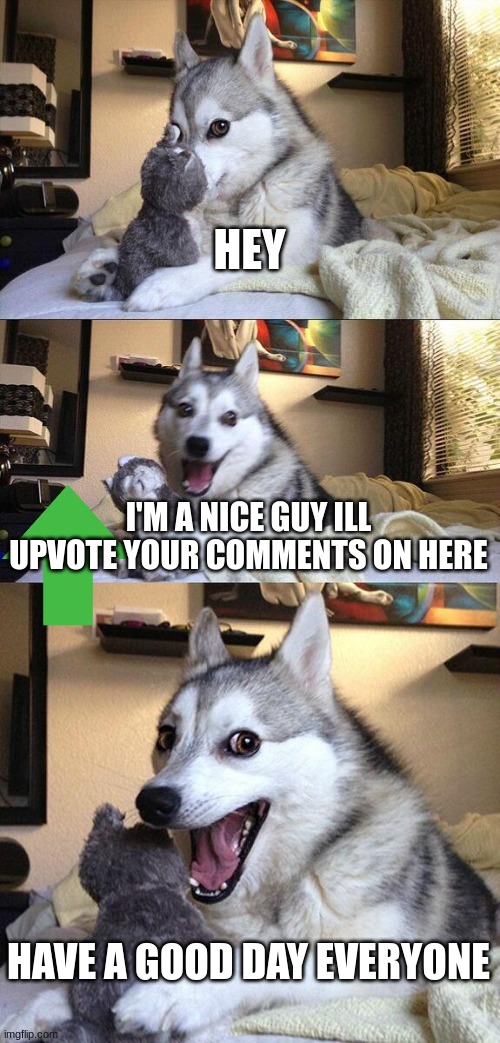 Bad Pun Dog | HEY; I'M A NICE GUY ILL UPVOTE YOUR COMMENTS ON HERE; HAVE A GOOD DAY EVERYONE | image tagged in memes,bad pun dog | made w/ Imgflip meme maker