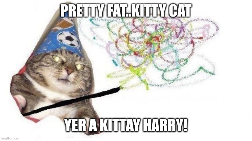 Kitty the Harry | PRETTY FAT..KITTY CAT; YER A KITTAY HARRY! | image tagged in cat wizard | made w/ Imgflip meme maker